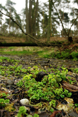 BUITEN BEELD Foto: 120114