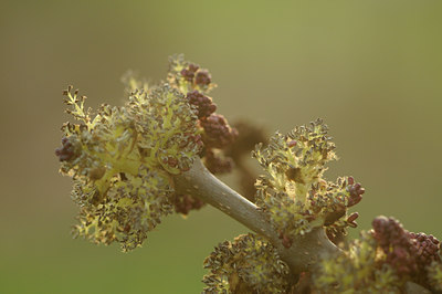 BUITEN BEELD Foto: 120139
