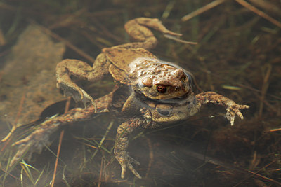 BUITEN BEELD Foto: 120159