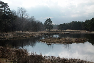 BUITEN BEELD Foto: 120173