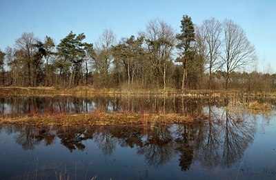 BUITEN BEELD Foto: 120178