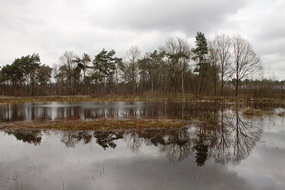 BUITEN BEELD Foto: 120179