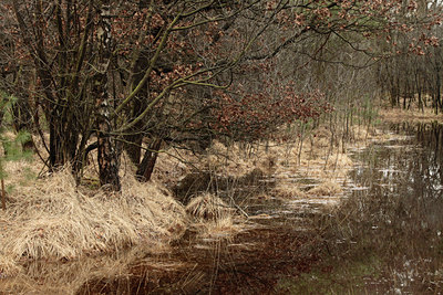 BUITEN BEELD Foto: 120180