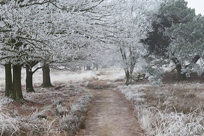 BUITEN BEELD Foto: 120217