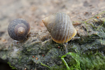 BUITEN BEELD Foto: 120238