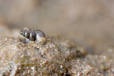 BUITEN BEELD Foto: 120240