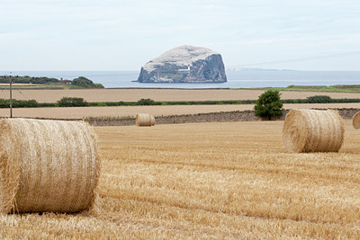 BUITEN BEELD Foto: 120255