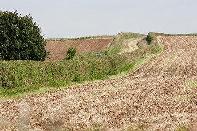 BUITEN BEELD Foto: 120265