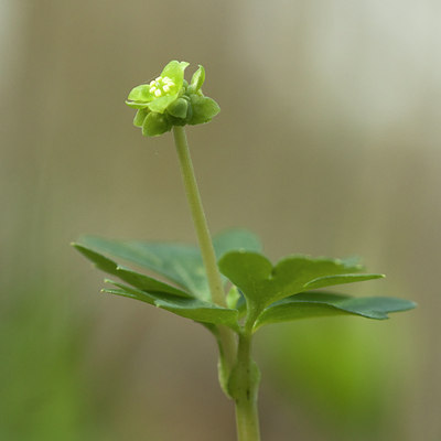 BUITEN BEELD Foto: 120284