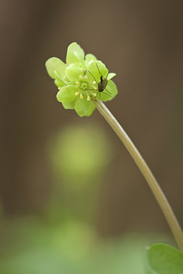 BUITEN BEELD Foto: 120288