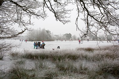 BUITEN BEELD Foto: 120292