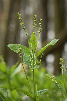 BUITEN BEELD Foto: 120304
