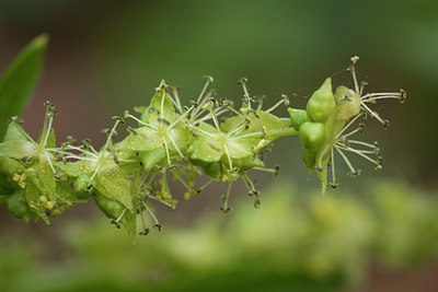 BUITEN BEELD Foto: 120307