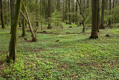 BUITEN BEELD Foto: 120345