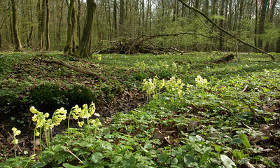 BUITEN BEELD Foto: 120361