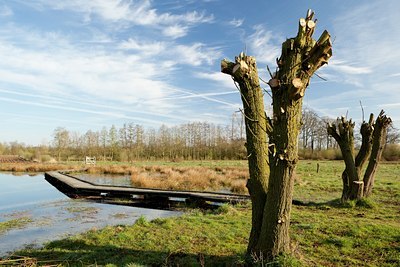 BUITEN BEELD Foto: 120370