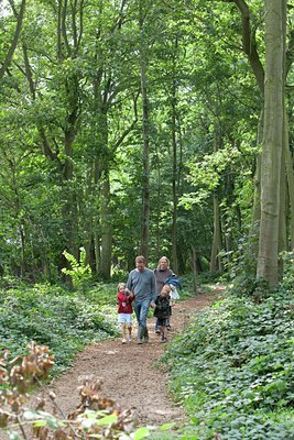 BUITEN BEELD Foto: 120371