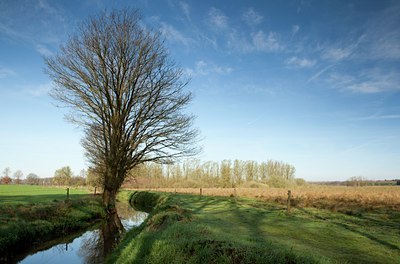 BUITEN BEELD Foto: 120374