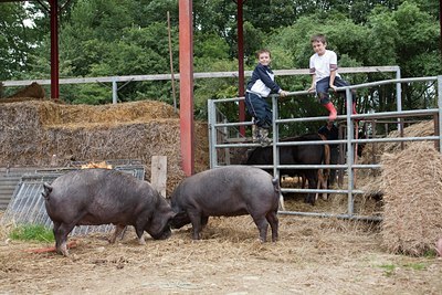BUITEN BEELD Foto: 120404