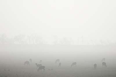 BUITEN BEELD Foto: 120410