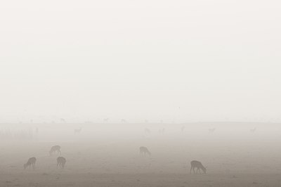 BUITEN BEELD Foto: 120412