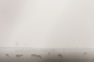 BUITEN BEELD Foto: 120413