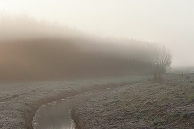 BUITEN BEELD Foto: 120417