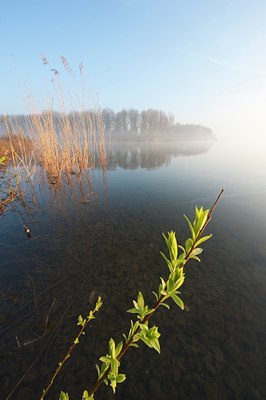 BUITEN BEELD Foto: 120420