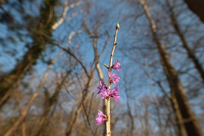 BUITEN BEELD Foto: 120448