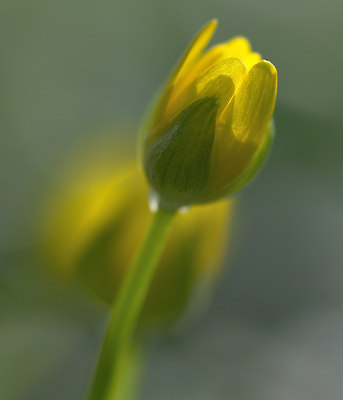 BUITEN BEELD Foto: 120457