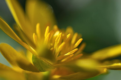 BUITEN BEELD Foto: 120462
