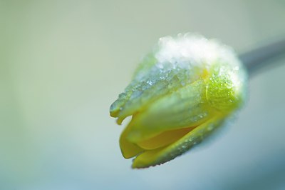 BUITEN BEELD Foto: 120465