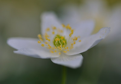 BUITEN BEELD Foto: 120474