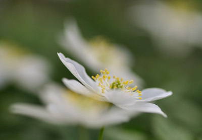BUITEN BEELD Foto: 120480