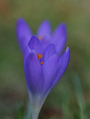 BUITEN BEELD Foto: 120486