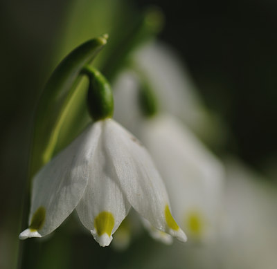 BUITEN BEELD Foto: 120497
