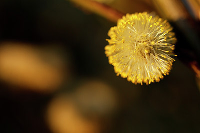 BUITEN BEELD Foto: 120501