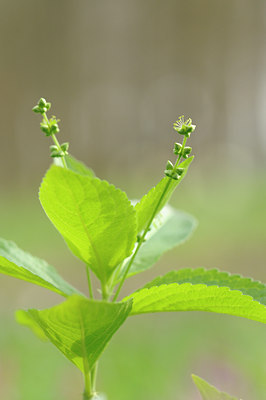 BUITEN BEELD Foto: 120521