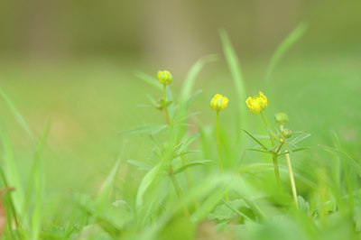 BUITEN BEELD Foto: 120524