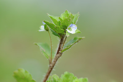 BUITEN BEELD Foto: 120531