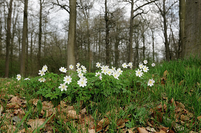 BUITEN BEELD Foto: 120546
