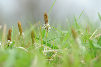 BUITEN BEELD Foto: 120549
