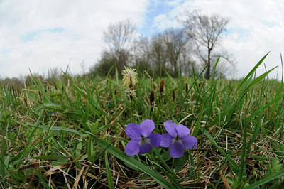 BUITEN BEELD Foto: 120551