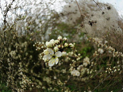 BUITEN BEELD Foto: 120555