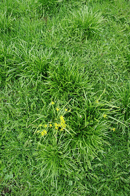 BUITEN BEELD Foto: 120563