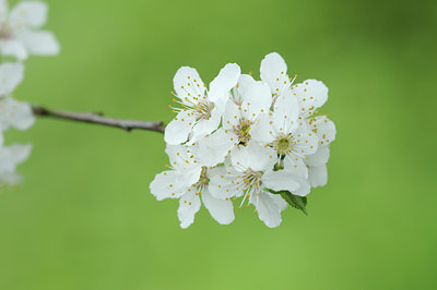BUITEN BEELD Foto: 120566