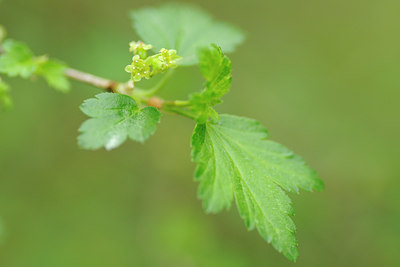 BUITEN BEELD Foto: 120641