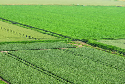 BUITEN BEELD Foto: 120664