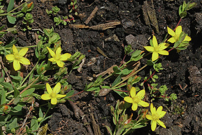 BUITEN BEELD Foto: 120666