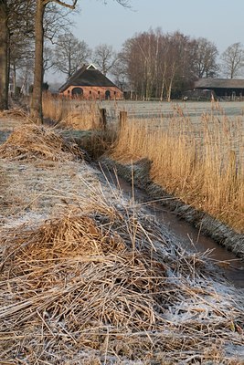 BUITEN BEELD Foto: 120688